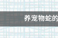 家里养黄鳝十大禁忌？ 养宠物蛇的十大禁忌