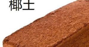 2b29e00035ee16d6affd8