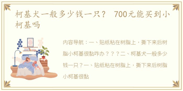 柯基犬一般多少钱一只？ 700元能买到小柯基吗