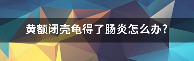 t013abfb1a2db278905.png