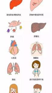 儿童胃炎会引起碱性磷酸酶升高吗？ 女性碱性磷酸酶120高吗