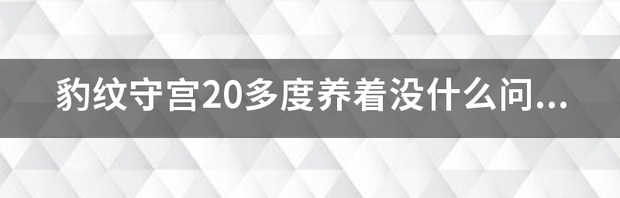 t01af4a7d5592065000.png