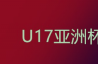u17亚洲杯预选赛出线规则？ u17亚洲杯预选赛