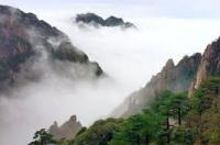 黄山旅游是应该选择跟团游还是自由行？ 去黄山自由行还是跟团比较好
