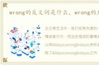 wrong的反义词是什么，wrong的反义词