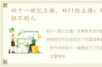 双十一破亿主播，双11抢主播：时薪千元招不到人
