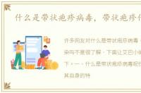 什么是带状疱疹病毒，带状疱疹传染吗