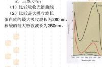 肽键双缩脲反应方程式？ 双缩脲反应方程式