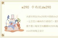 w290 卡西欧dw290