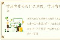 喷油嘴作用是什么原因，喷油嘴作用是什么