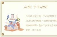 u960 中兴u960