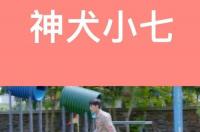 邓超演的拉布拉多是哪个电影？ 拉布拉多电影