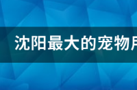沈阳的宠物市场在哪啊? 沈阳宠物批发市场