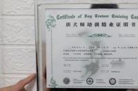 训犬师资格证要怎么考？训犬师资格证要怎么考？ 训犬师证书