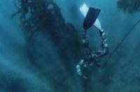 在海底8000米以下，都生存着哪些罕见的生物？ 9000000米深海有什么生物