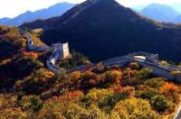 八达岭森林公园让带狗吗？ 八达岭国家森林公园