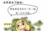 非常聪明机灵的星座女？ 没有脑子的星座女