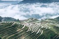 云南至广西自驾游最佳线路推荐？ 广西旅游攻略自由行路线推荐