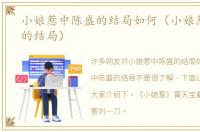 小娘惹中陈盛的结局如何（小娘惹中陈盛的结局）