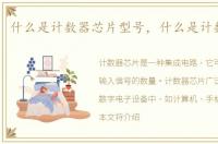 什么是计数器芯片型号，什么是计数器芯片