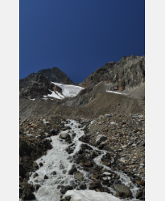 消失的冰川威胁着高山生物多样性