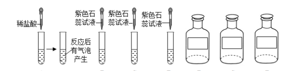 t0133a2043d6cf0ec31.png