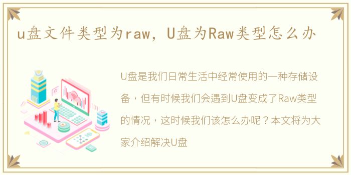 u盘文件类型为raw，U盘为Raw类型怎么办