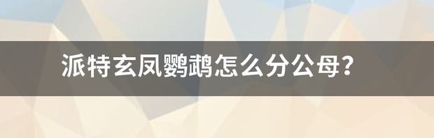 t015f4626695748f0d0.png