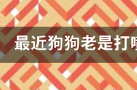 狗狗打喷嚏鼻子一直喷血怎么办？ 狗狗打喷嚏出血