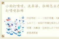 小狗打喷嚏、流鼻涕、拉稀怎么办？ 狗狗打喷嚏拉稀