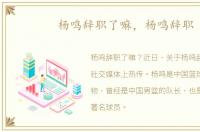 杨鸣辞职了嘛，杨鸣辞职