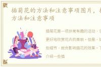 插菊花的方法和注意事项图片，插菊花的方法和注意事项