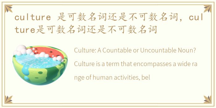 culture 是可数名词还是不可数名词，culture是可数名词还是不可数名词