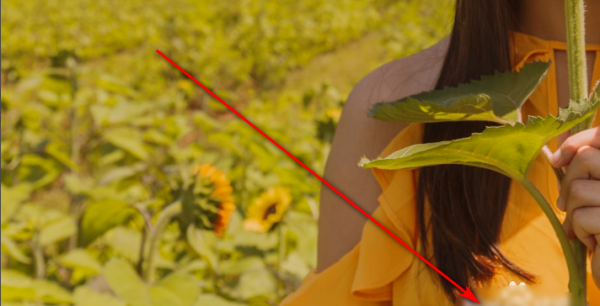 t010e6bdff5d9eacbb5.png
