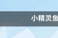 小精灵鱼好养吗？ 小精灵鱼价格