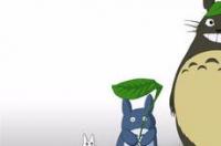 买龙猫哪个网站好？ 龙猫网站