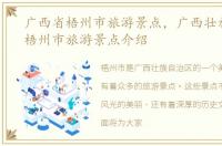广西省梧州市旅游景点，广西壮族自治区梧州市旅游景点介绍
