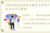 7厘米的豹纹陆龟大概多大年纪？ 豹纹陆龟多大可以繁殖