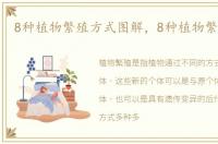 8种植物繁殖方式图解，8种植物繁殖方式