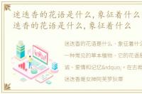 迷迭香的花语是什么,象征着什么意义，迷迭香的花语是什么,象征着什么