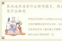 然而这并没有什么卵用图片，然而这并没有什么卵用