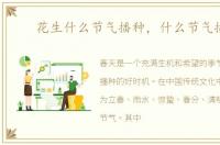 花生什么节气播种，什么节气播种