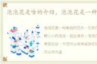 泡泡花是啥的介绍，泡泡花是一种什么花