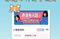 网上的狗语翻译器有用吗？ 狗语翻译器在线使用试用网
