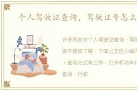个人驾驶证查询，驾驶证号怎么查询