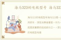 海马323的电瓶型号 海马323