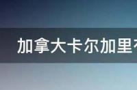 加拿大卡尔加里有什么大专学院？ 卡尔加里有哪些大学