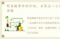 鳄雀鳝事件的介绍，石家庄一小区发现鳄雀鳝
