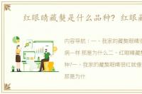 红眼睛藏獒是什么品种? 红眼藏獒
