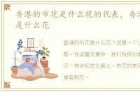 香港的市花是什么花的代表，香港的市花是什么花